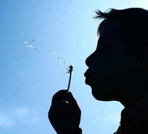 Silhouette d'un enfant soufflant sur un pissenlit dans un ciel bleu